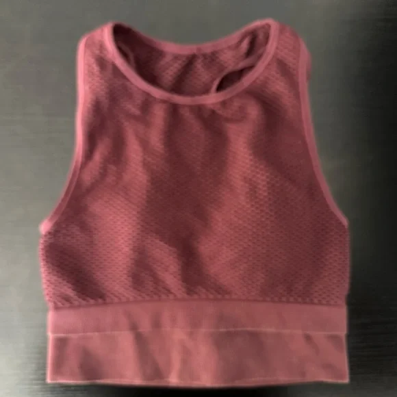Mesh Pink Crop Top - Picture 1 of 5
